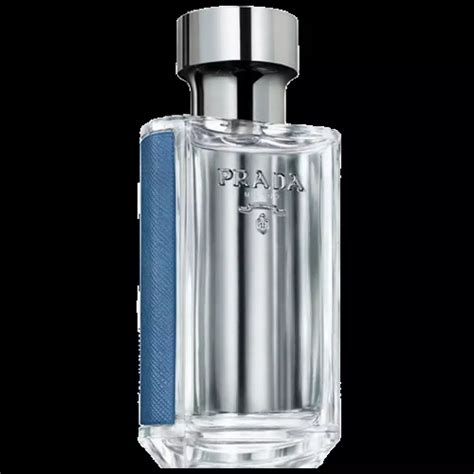 prada oeillet review|Prada l'homme reviews.